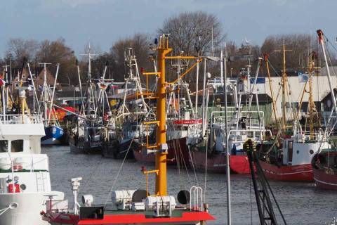 Kutterflotte im Büsumer Hafen