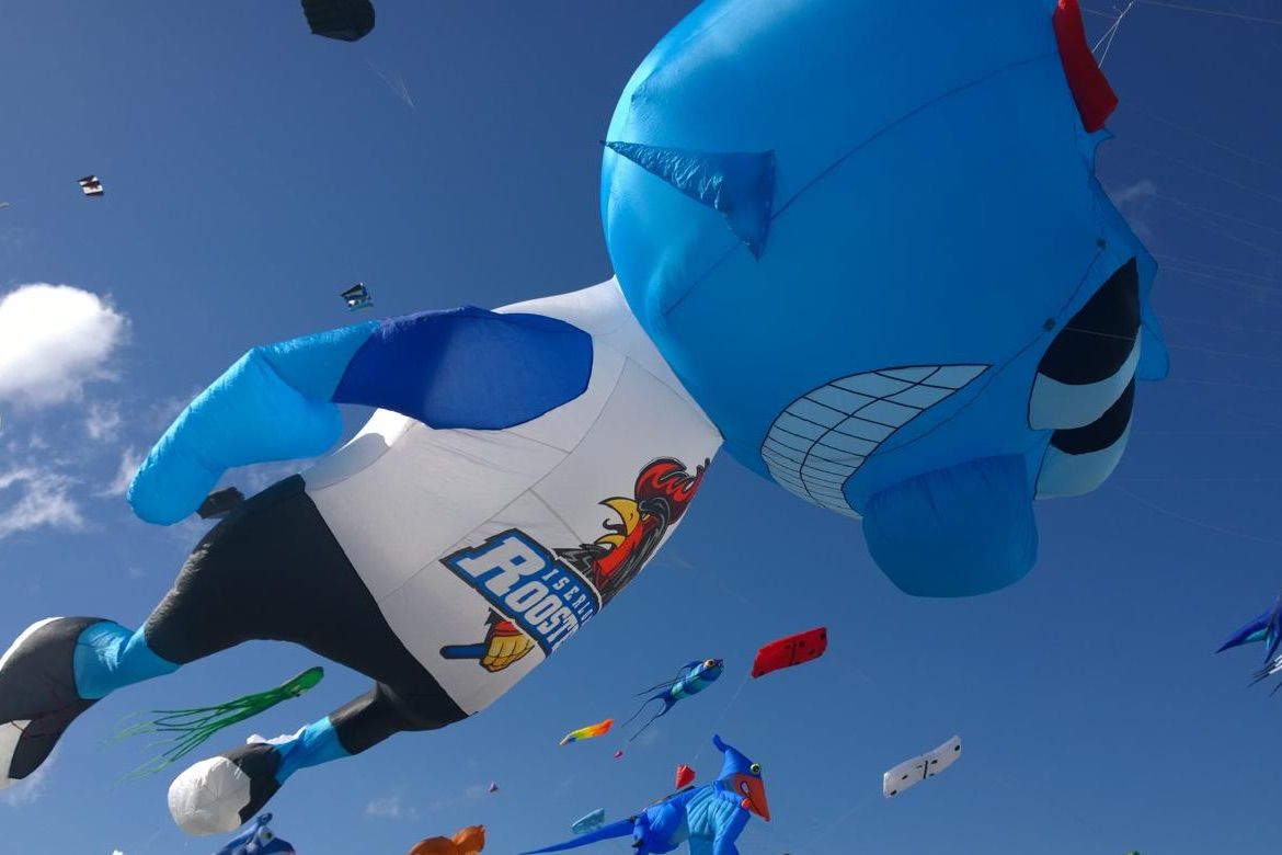 Drachensteigen lassen auf der Watt'n Insel