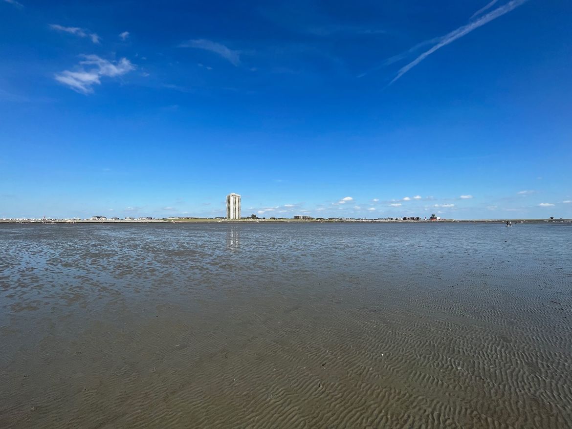 Das Büsumer Wattenmeer mit Büsum im Hintergrund